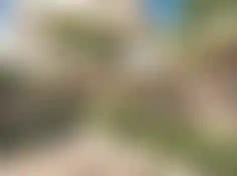 image for main block