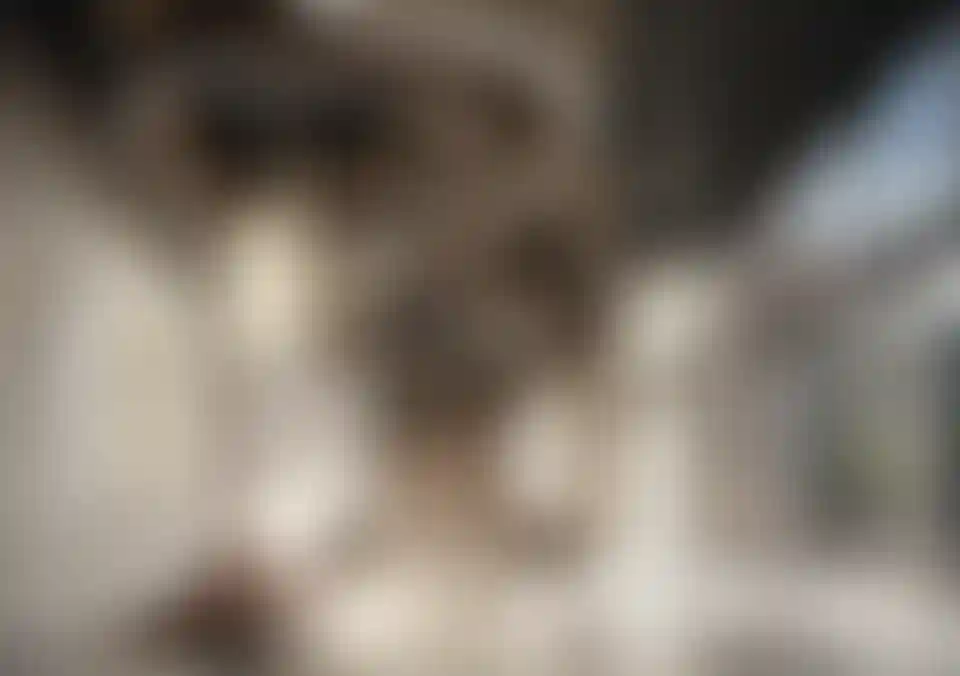 image for main block