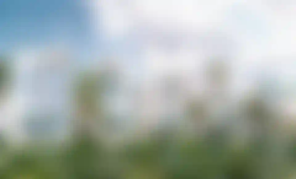 image for main block