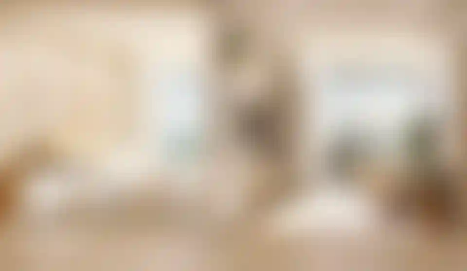 image for main block