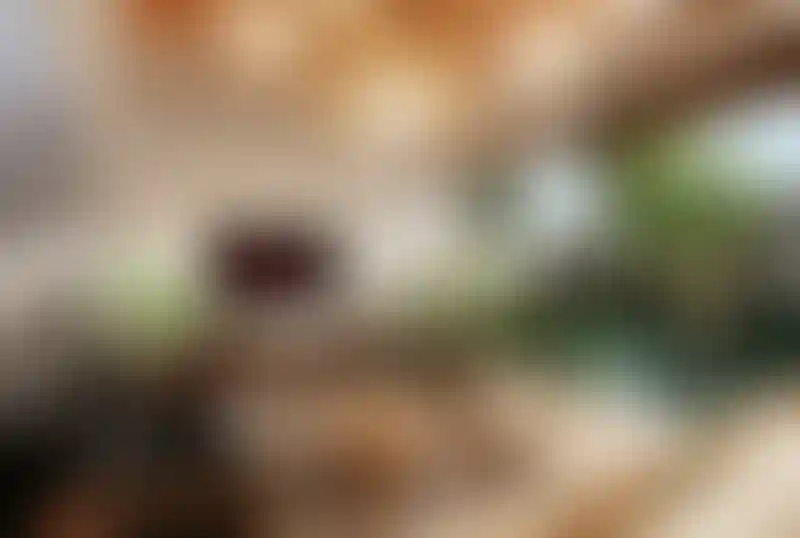 image for main block