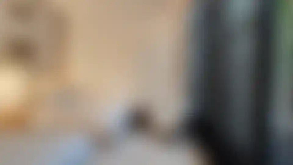 image for main block