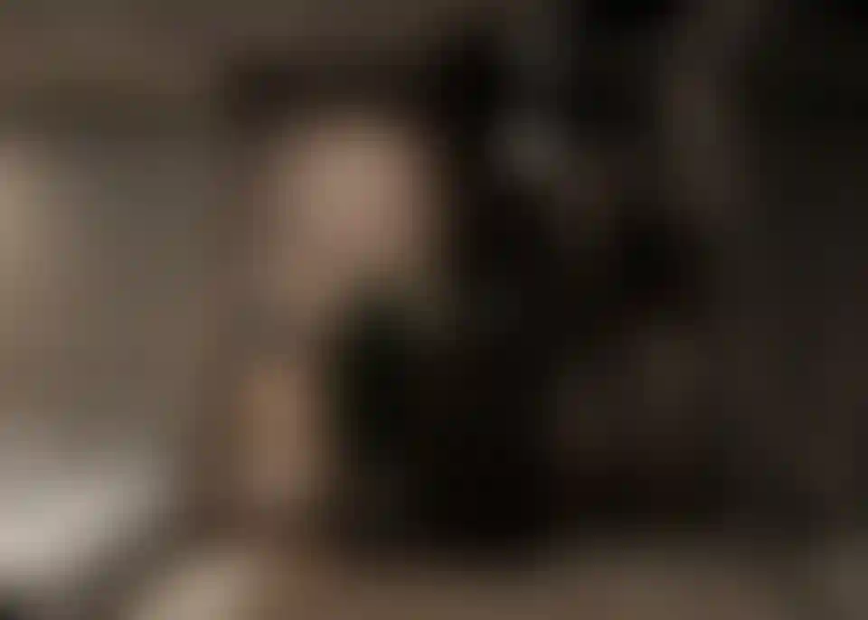 image for main block