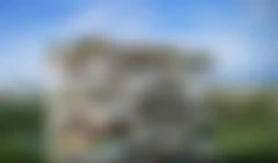 image for main block