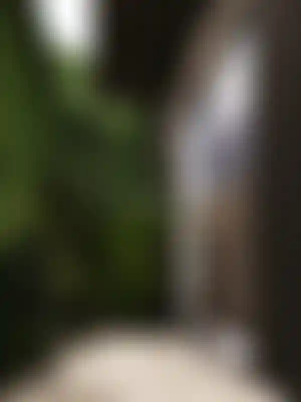 image for main block