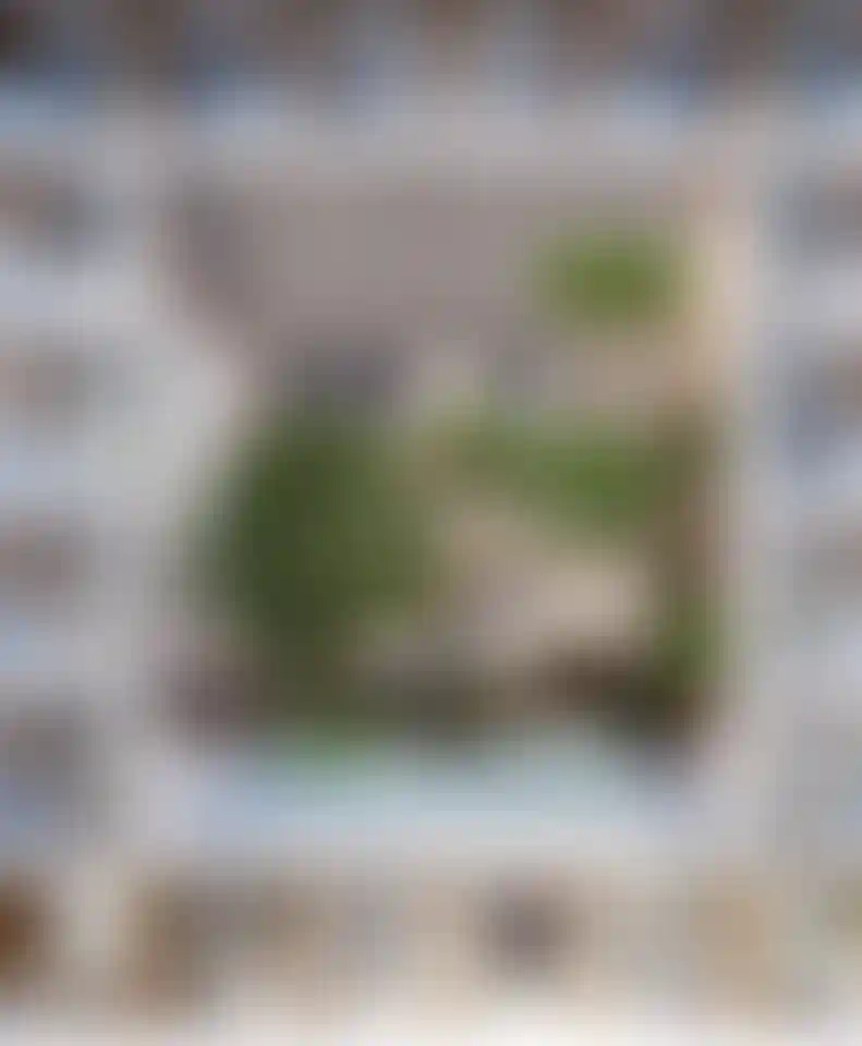 image for main block