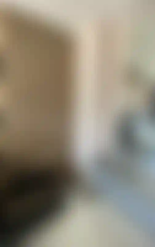 image for main block