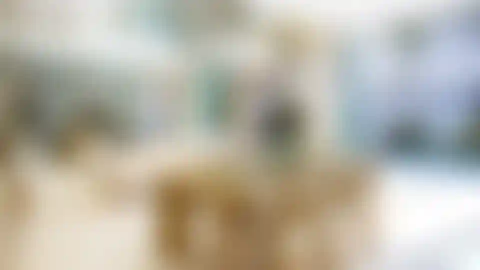 image for main block