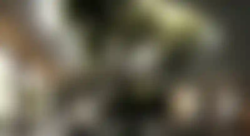 image for main block