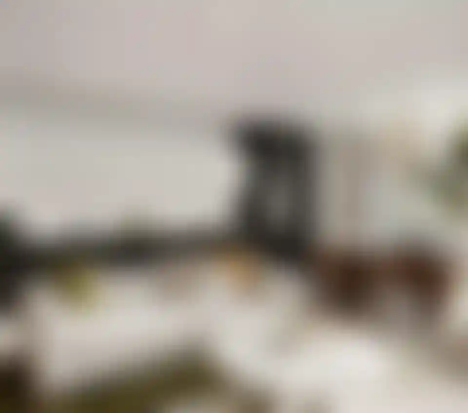 image for main block