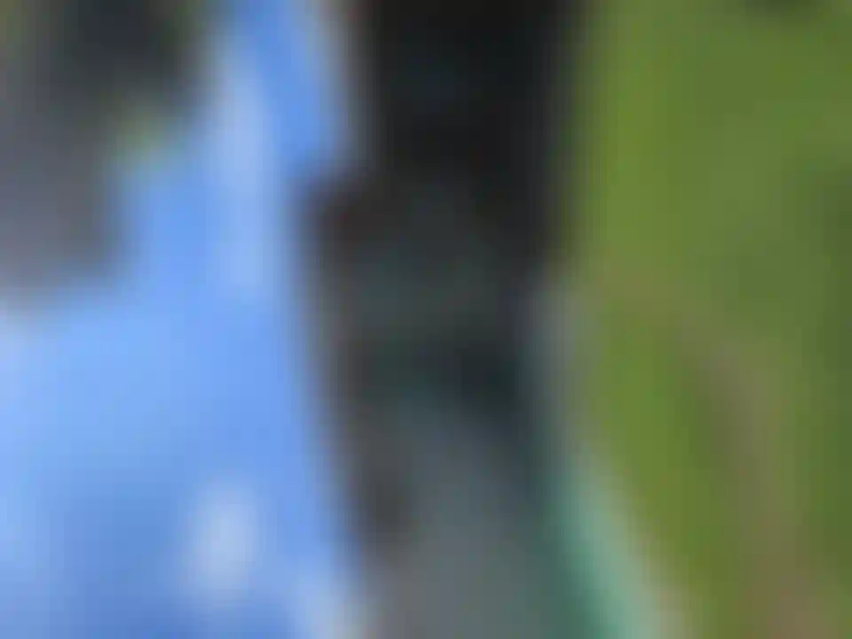 image for main block