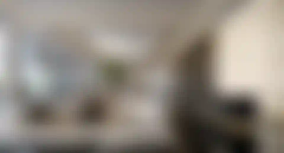 image for main block