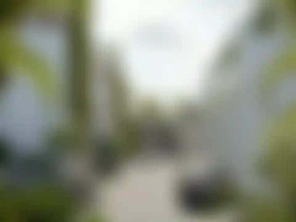 image for main block