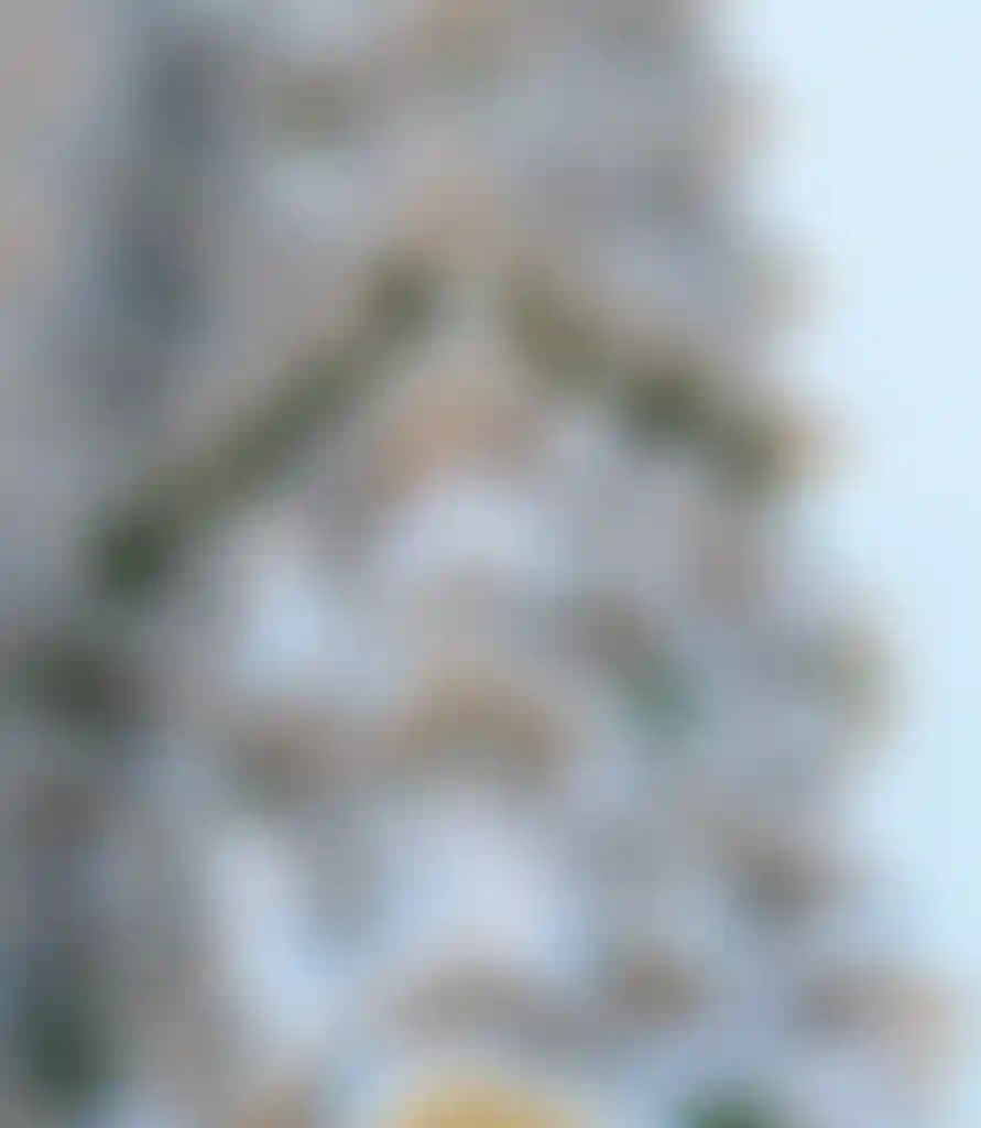 image for main block