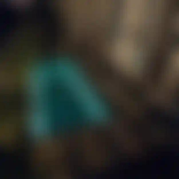 image for main block