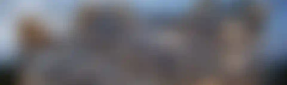 image for main block