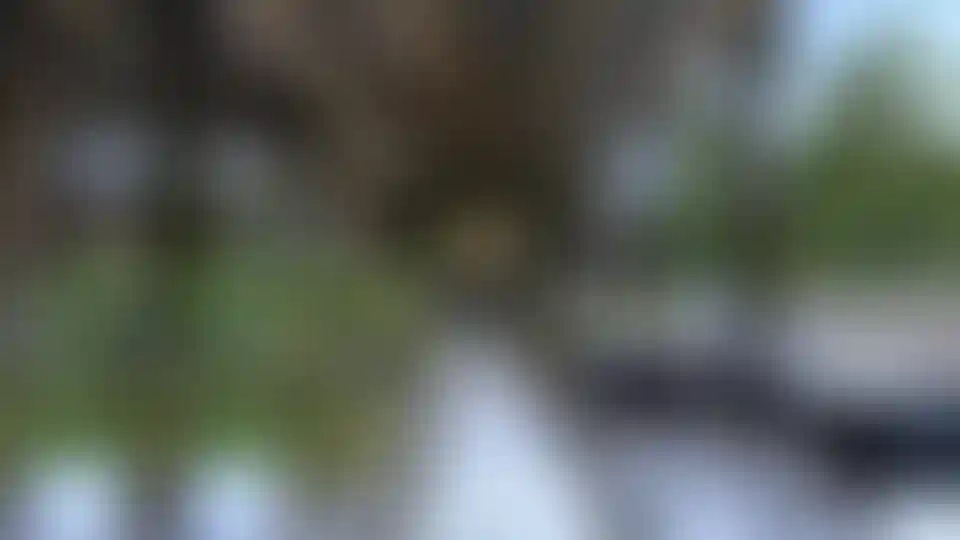 image for main block