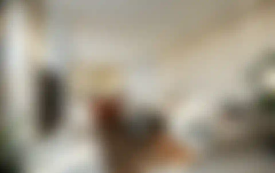 image for main block