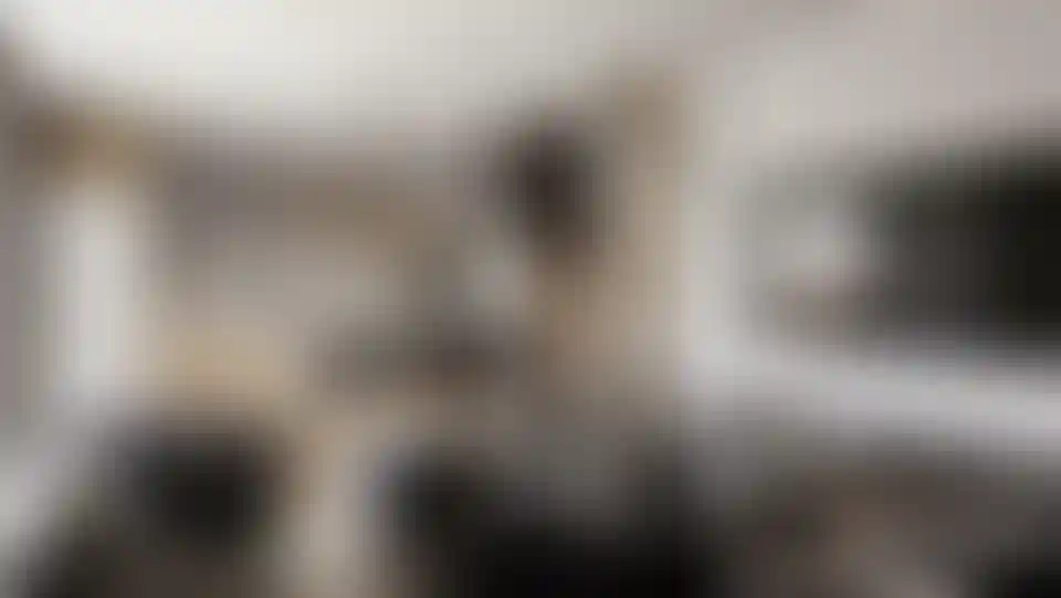 image for main block