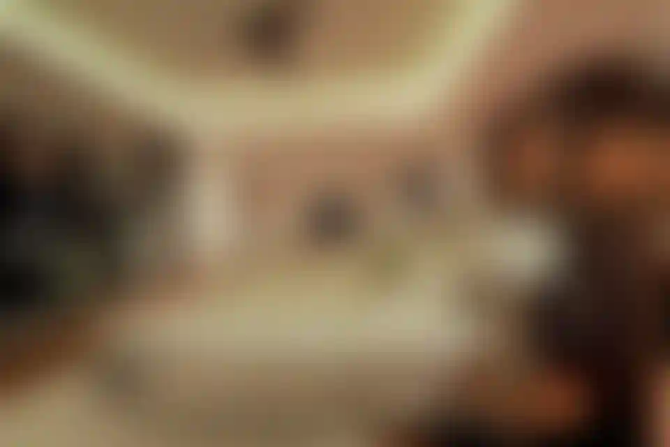 image for main block