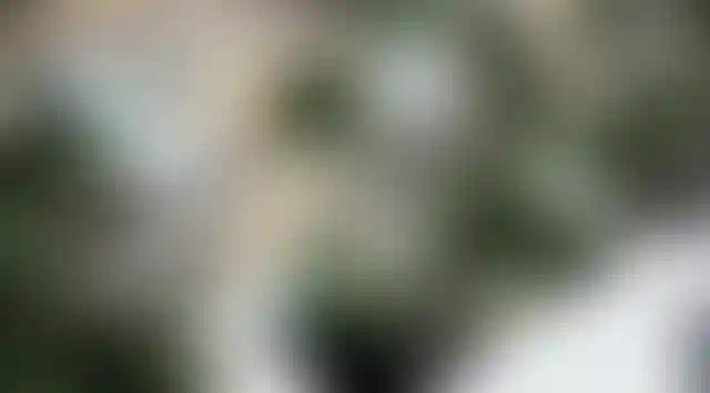 image for main block