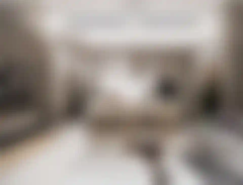 image for main block