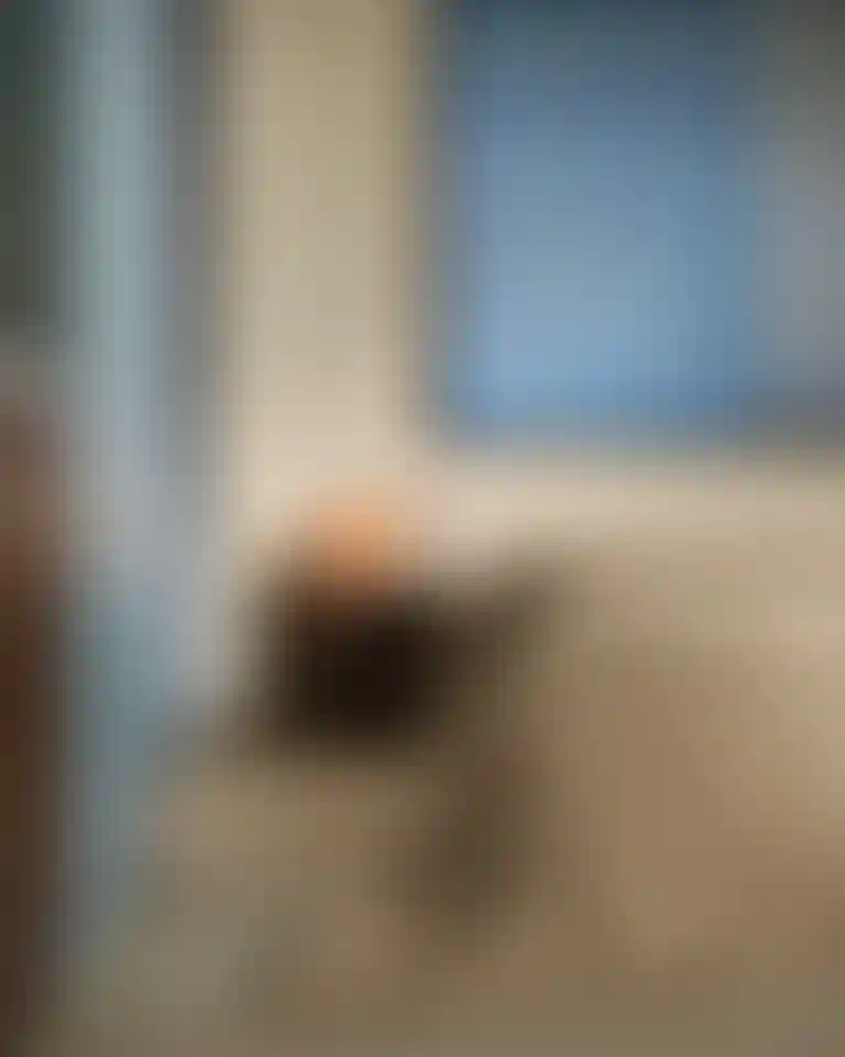 image for main block