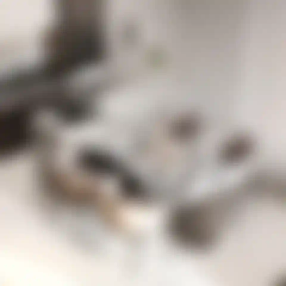 image for main block