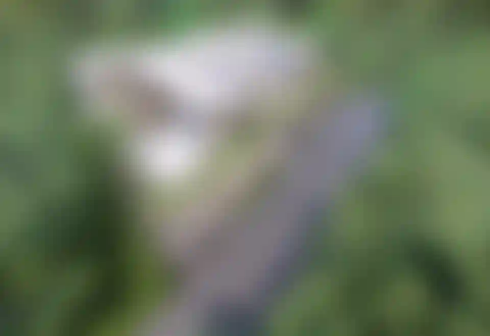 image for main block