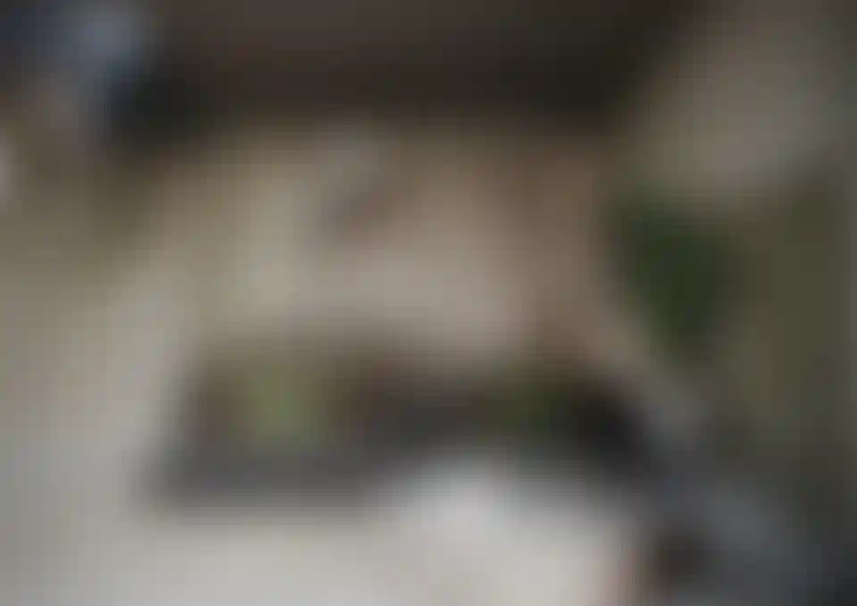 image for main block