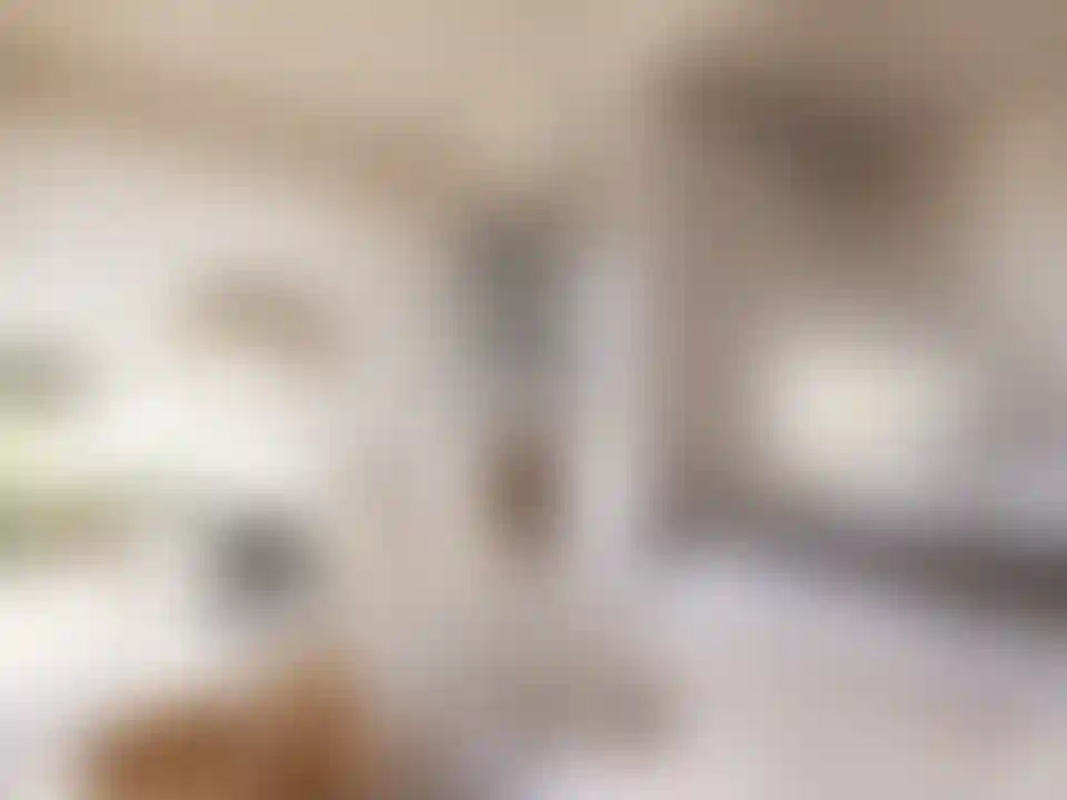 image for main block