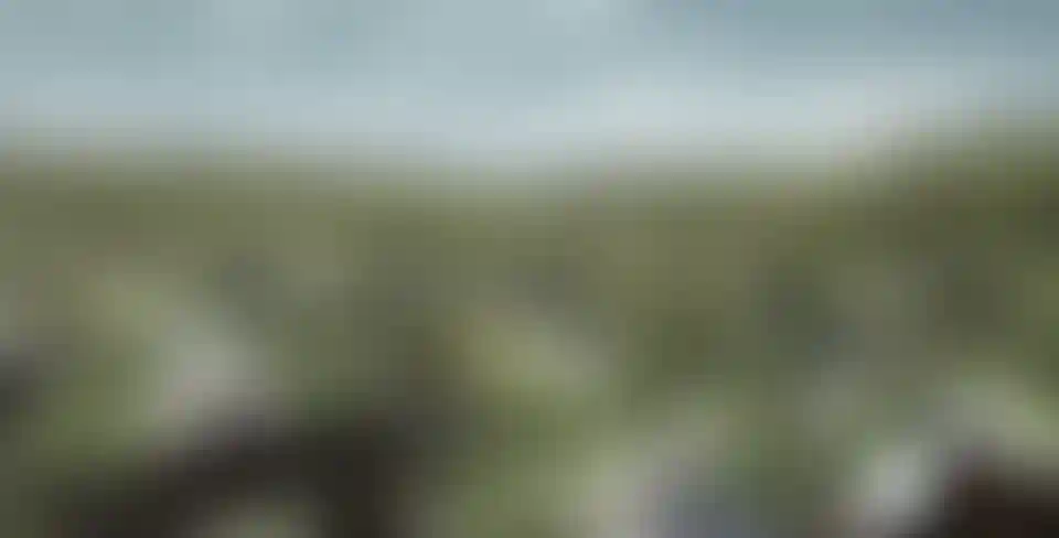 image for main block