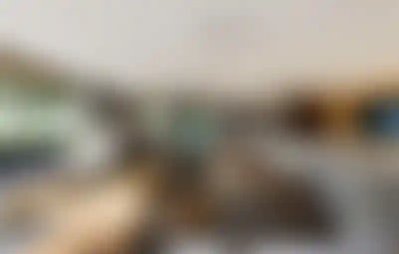 image for main block