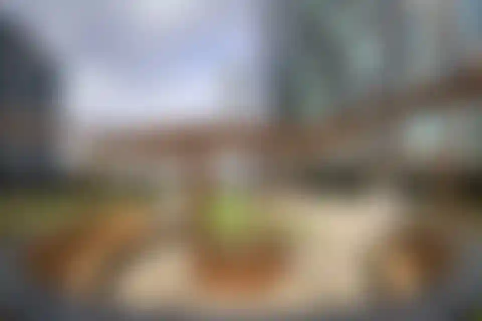 image for main block