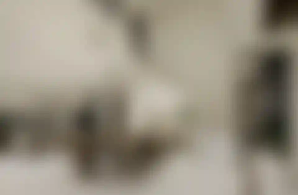 image for main block