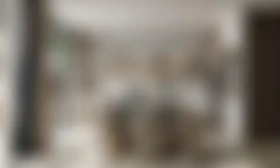 image for main block