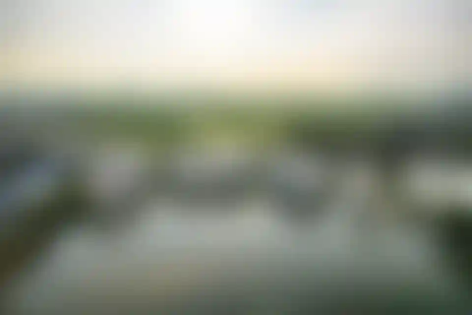 image for main block