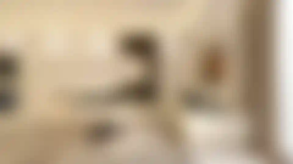 image for main block