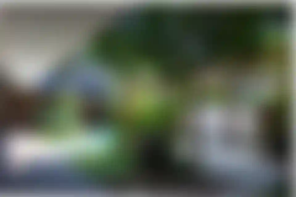 image for main block