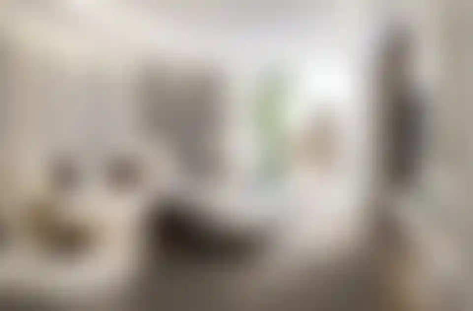 image for main block