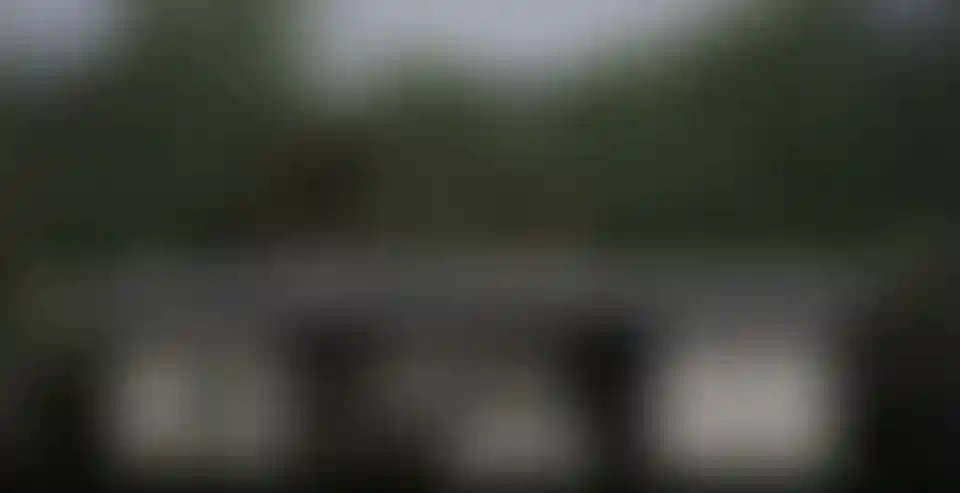 image for main block