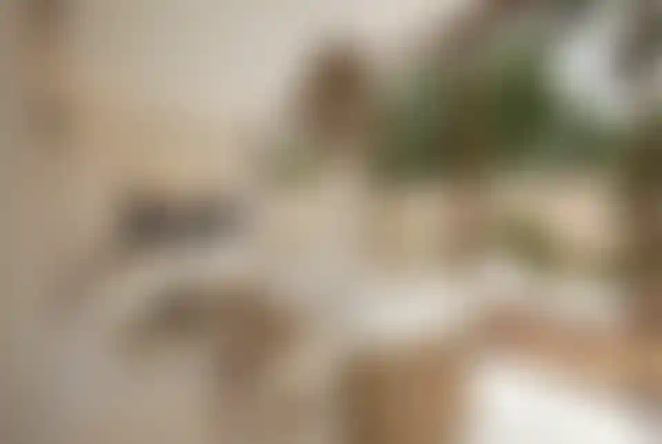 image for main block