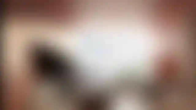 image for main block