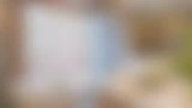 image for main block