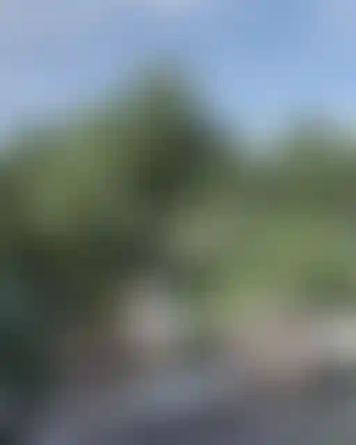 image for main block