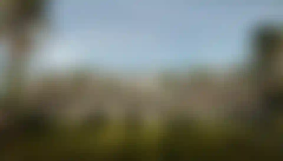 image for main block