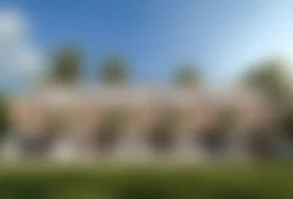 image for main block