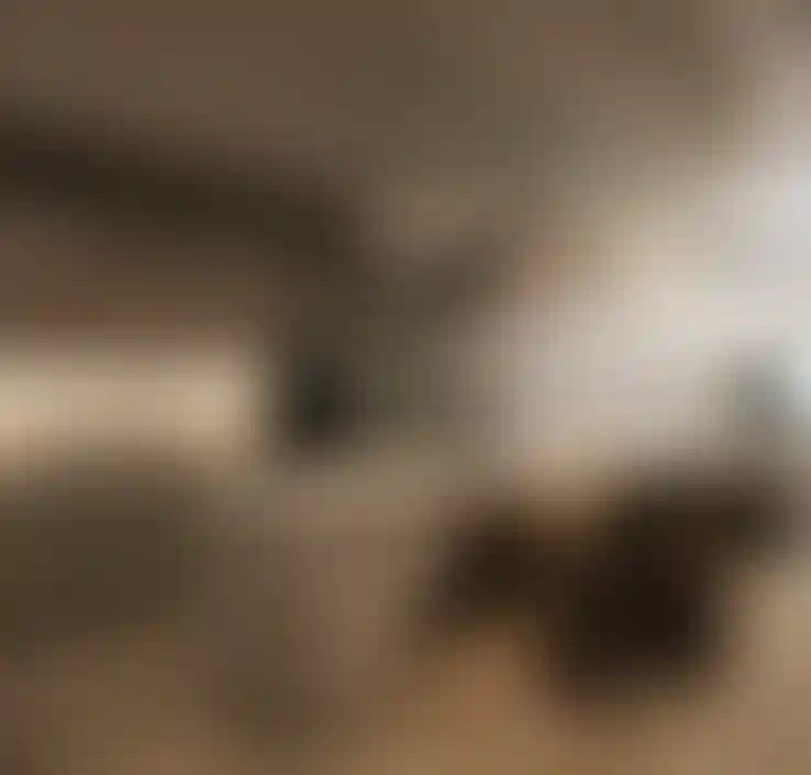 image for main block