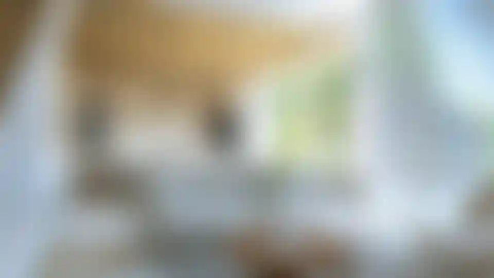 image for main block