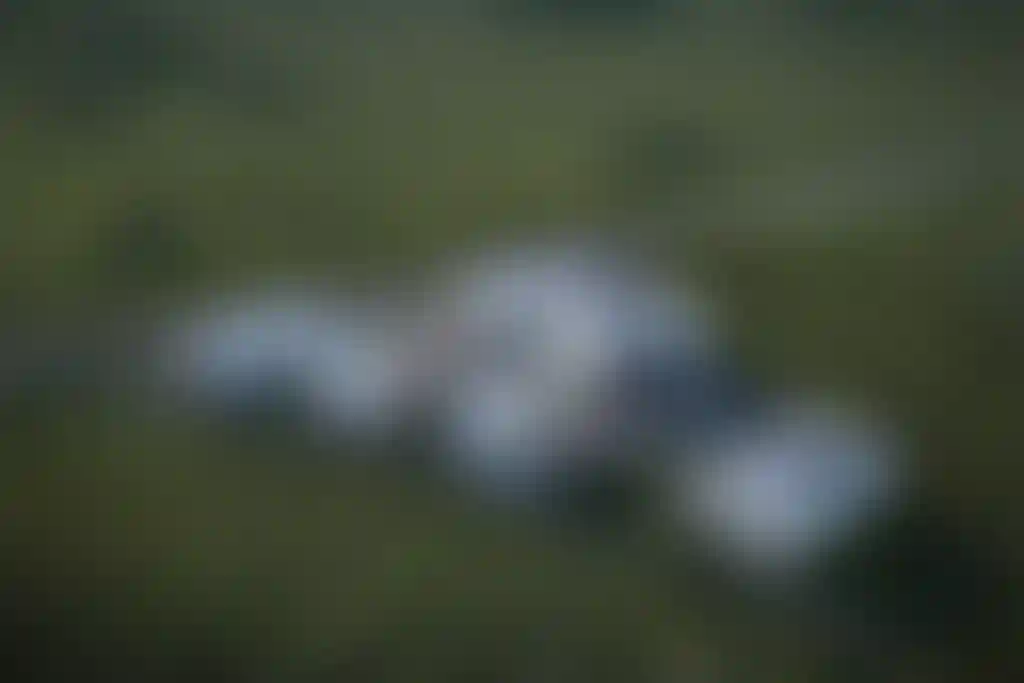 image for main block